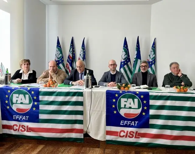 images Contrattazione, formazione e servizi: svolto il Consiglio Generale FAI-CISL Calabria