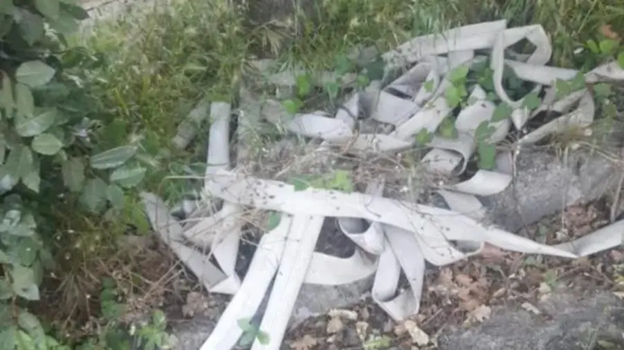 images Stefano Veraldi: "Parco della Biodiversità Mediterranea di Catanzaro, chi controlla i controllori?"