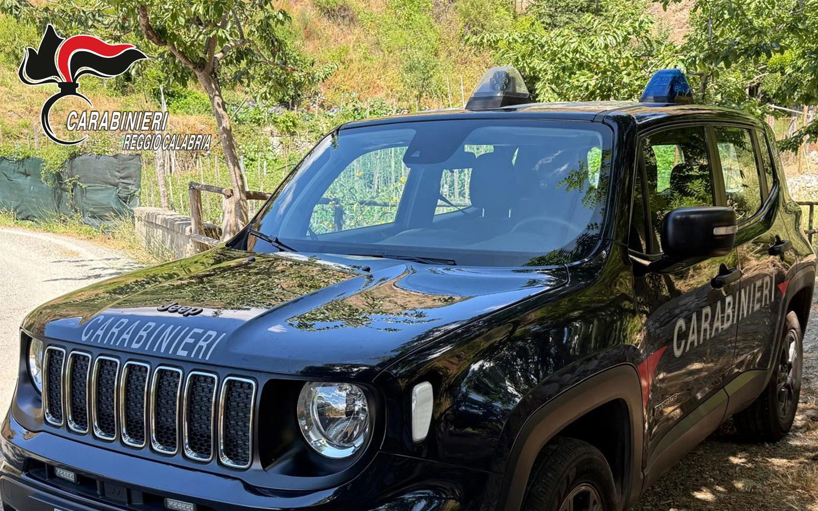 San Giorgio Morgeto, rubano furgone ed escavatore del Comune: due arresti