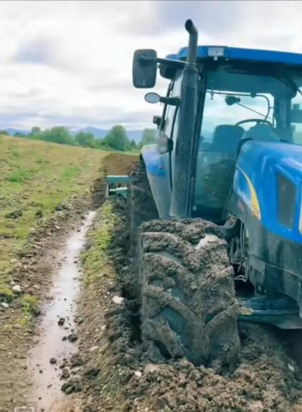Agricoltura, Caricato: "Aziende agricole silane in ginocchio" images Agricoltura, Caricato: "Aziende agricole silane in ginocchio"