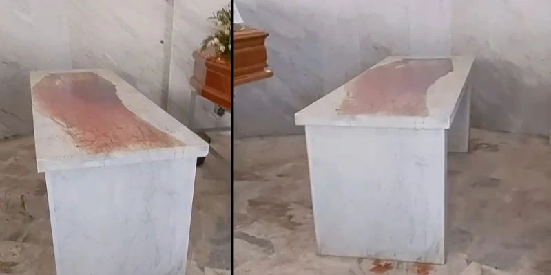 Cimitero di Catanzaro nel degrado, Critelli (Nuova Genesi): "Scenario inaccettabile che calpesta dignità e salute pubblica"