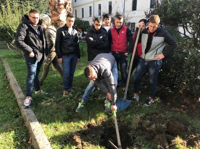 images Serie B, Cosenza al lavoro in vista dell’anticipo col Cittadella