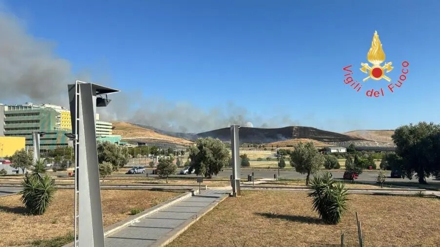 images Catanzaro, in fiamme la collina nei pressi della Cittadella e del Policlinico universitario 