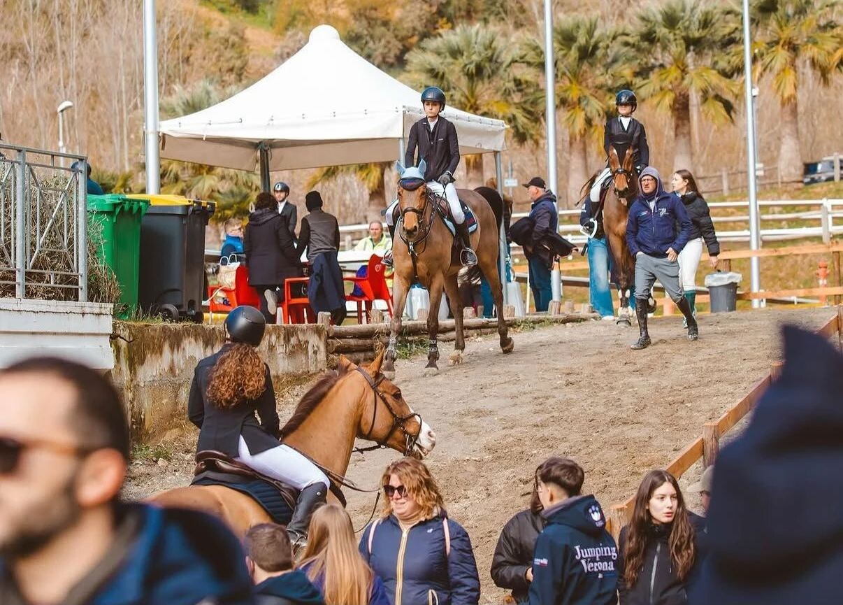 images Catanzaro, tre giorni adrenalinici di sport e spettacolo: tornano a Valle dei Mulini i Campionati regionali di salto ostacoli