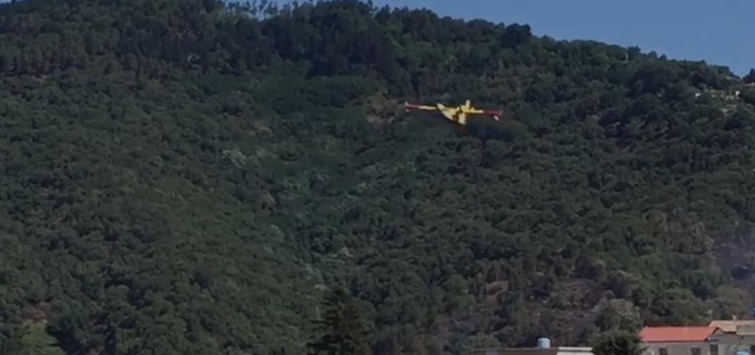 images Catanzaro. Ancora fiamme nel quartiere Piterà