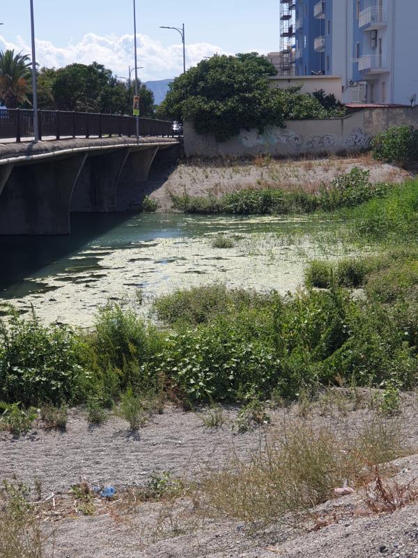 Foce della Fiumarella, Alleanza per Catanzaro chiama Casalinuovo: "Serve una bonifica immediata" images Foce della Fiumarella, Alleanza per Catanzaro chiama Casalinuovo: "Serve una bonifica immediata"