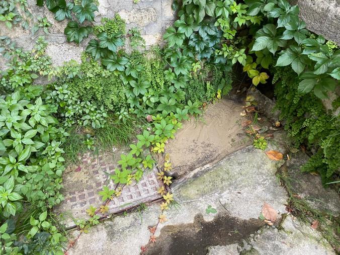 images Riparata la fogna a cielo aperto in via Cilea. Veraldi: "Questo dimostra che Catanzaro è città dalle mille possibilità"