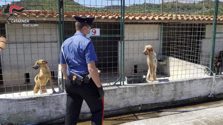 Crotone, sorpreso con 21 grammi di eroina: arrestato un 44enne images Crotone, sorpreso con 21 grammi di eroina: arrestato un 44enne