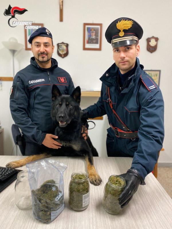 images Cotronei, 49enne trovato in possesso di 400 grammi di droga: arrestato