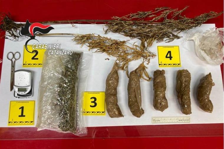 San Vito sullo Ionio, marijuana stoccata in un casolare: arrestato un 46enne 'tradito' dal forte odore images San Vito sullo Ionio, marijuana stoccata in un casolare: arrestato un 46enne 'tradito' dal forte odore