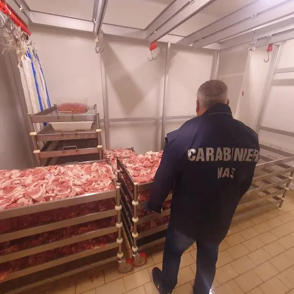 Pericolo peste suina, sequestrate nel Reggino 2 tonnellate di salumi e carne images Pericolo peste suina, sequestrate nel Reggino 2 tonnellate di salumi e carne