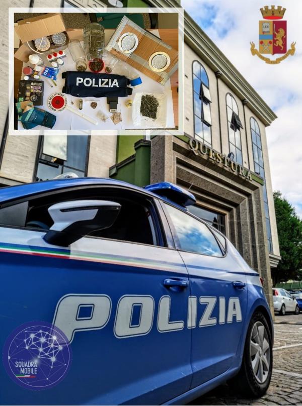images Viavai sospetto da una casa nel centro di Vibo, arrestato un uomo per coltivazione e spaccio di marijuana