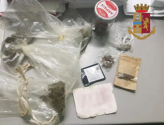 images Vibo, viaggiava con droga: denunciata 