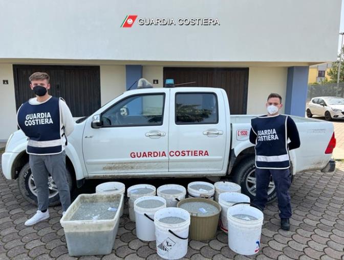 images Sequestrati 330 chili di novellame nella Sibaritide, multa per 25.000 euro 