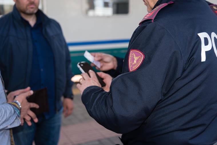 images Crotone, un treno tampona pecore lasciate incustodite: denunciato il proprietario