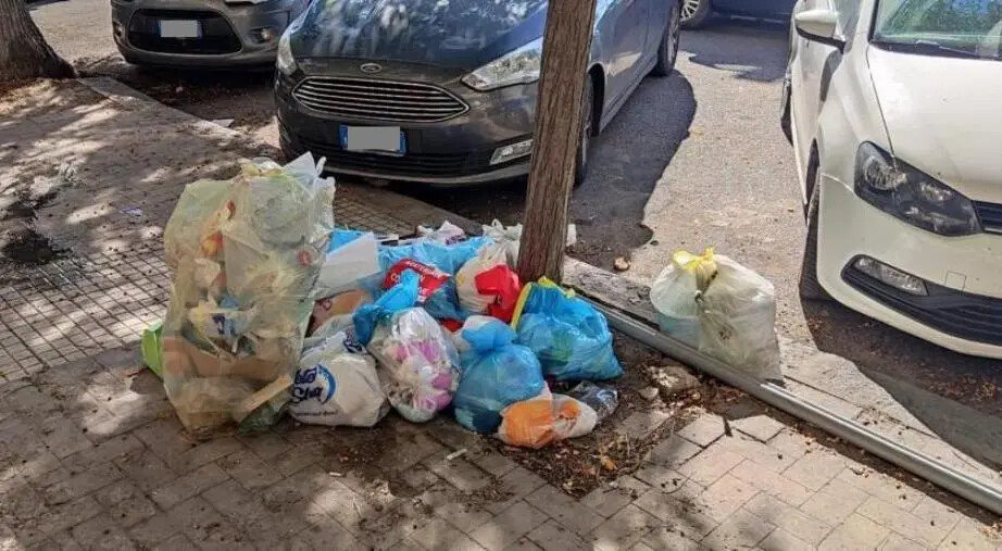 Catanzaro, pugno duro dei Vigili urbani contro l'abbandono di rifiuti nel quartiere Lido images Catanzaro, pugno duro dei Vigili urbani contro l'abbandono di rifiuti nel quartiere Lido