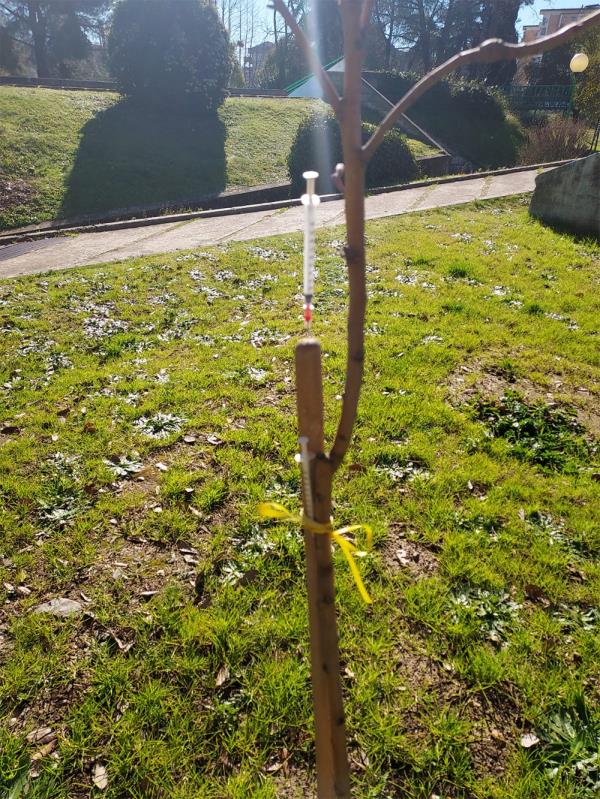 Rende, la denuncia degli attivisti 5S: "Siringhe al parco Robinson dove giocano i bambini" images Rende, la denuncia degli attivisti 5S: "Siringhe al parco Robinson dove giocano i bambini"