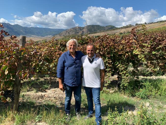 Gerace wine tour: tra i vigneti ondulati di Francesco Macrì (FOTO E VIDEO)