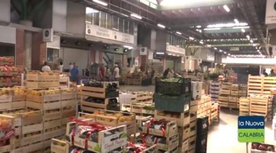 Comalca chiuso fino a domenica. Non tutti gli operatori ci stanno: "Gravi danni economici. Perché l'Asp ci mette tanto?" images Comalca chiuso fino a domenica. Non tutti gli operatori ci stanno: "Gravi danni economici. Perché l'Asp ci mette tanto?"