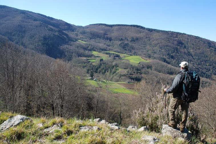 images Martirano Lombardo. Tutto pronto per il festival delle erranze e della filoxenia 