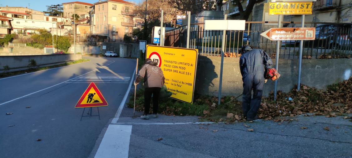 images Catanzaro, diserbo sulla Tangenziale di Gagliano, Gironda e Amendola: “Lavori iniziati per sinergia fra Consorzi di bonifica e Provincia"