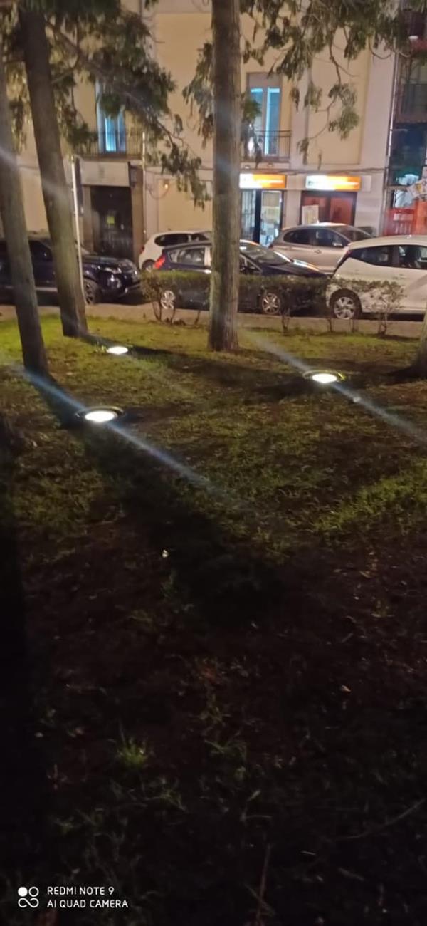 Catanzaro, torna la luce ai giardini Nicholas Green images Catanzaro, torna la luce ai giardini Nicholas Green