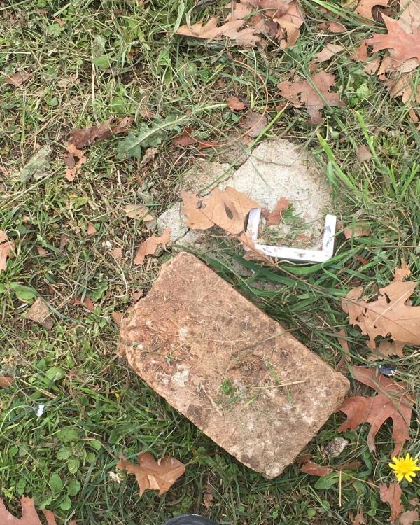 images Sant'Onofrio, danneggiato il “Giardino della Memoria” dedicato alle vittime del Covid 