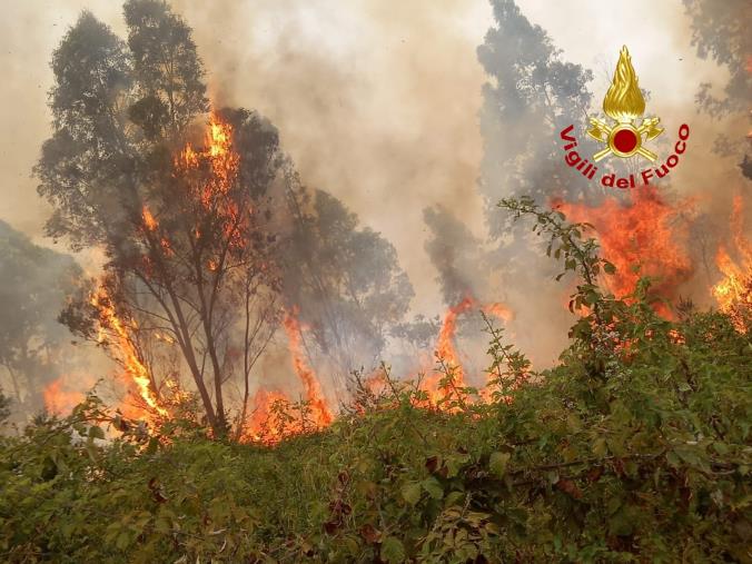 images Gizzeria. Vasto incendio fra gli arbusti si dirige verso le abitazioni interne