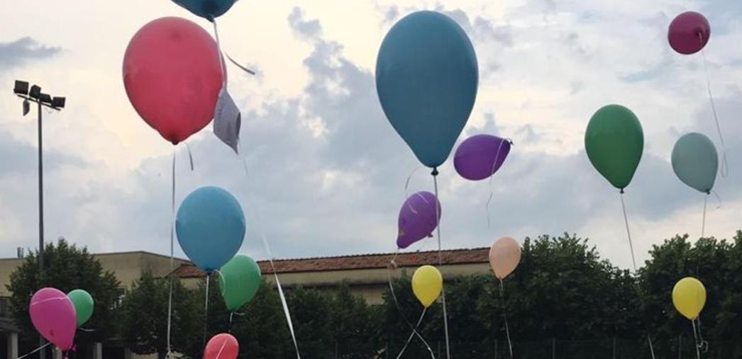 images Ambiente, il Comune di Montepaone fa guerra ai palloncini: ecco l'ordinanza "no fly zone" 