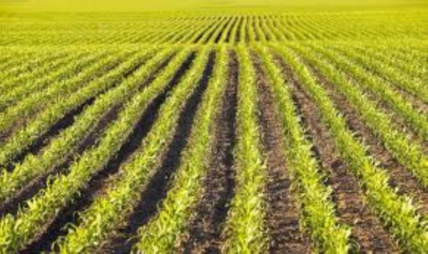 Troppa poca acqua e il Consorzio di bonifica Ionio Crotonese scrive ai cittadini: "Usare la risorsa con con razionalità e parsimonia" images Troppa poca acqua e il Consorzio di bonifica Ionio Crotonese scrive ai cittadini: "Usare la risorsa con con razionalità e parsimonia"