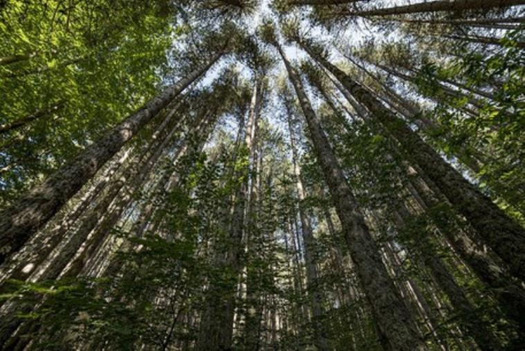 Pubblicato l'avviso "Weekend nei Parchi": il progetto per far conoscere le aree protette images Pubblicato l'avviso "Weekend nei Parchi": il progetto per far conoscere le aree protette