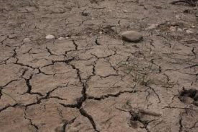 Siccità, la Regione autorizza l’aumento della dotazione di gasolio agricolo agevolato images Siccità, la Regione autorizza l’aumento della dotazione di gasolio agricolo agevolato
