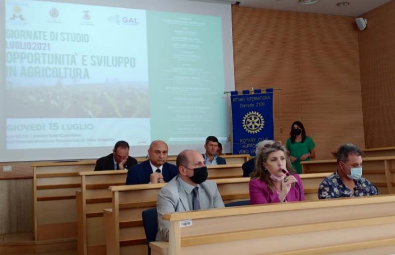 Il Rotary Club Hipponion Vibo Valentia si interroga su "Orizzonti europei e politiche di sviluppo in agricoltura" images Il Rotary Club Hipponion Vibo Valentia si interroga su "Orizzonti europei e politiche di sviluppo in agricoltura"