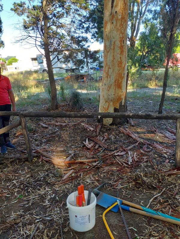 Cosenza a un passo da Kone del Torino images Cosenza a un passo da Kone del Torino
