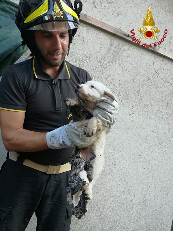 images Lamezia Terme, su Corso Numistrano la musica è vita  