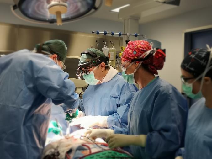 Sanità, intervento chirurgico in Ecmo al Gom di Reggio Calabria: salvata la vita ad un giovane vibonese images Sanità, intervento chirurgico in Ecmo al Gom di Reggio Calabria: salvata la vita ad un giovane vibonese