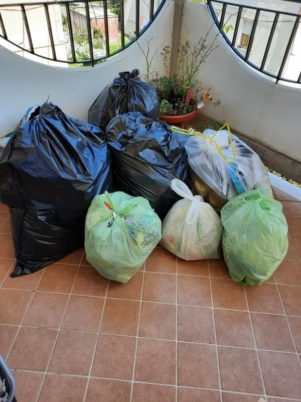 "Dal 25 marzo positivi al Covid e nessuno ritira la spazzatura": lettera denuncia di una famiglia di Catanzaro images "Dal 25 marzo positivi al Covid e nessuno ritira la spazzatura": lettera denuncia di una famiglia di Catanzaro