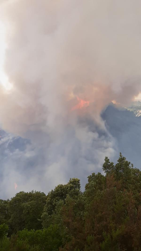 Vasto incendio a Catanzaro. Le fiamme minacciano un'area del Parco della Biodiversità (FOTO E VIDEO) images Vasto incendio a Catanzaro. Le fiamme minacciano un'area del Parco della Biodiversità (FOTO E VIDEO)