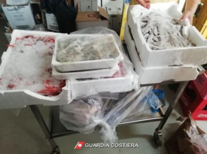 images “Mare Sicuro 2021”: sequestrati 900 chili di pesce ad una struttura balneare di Corigliano-Rossano