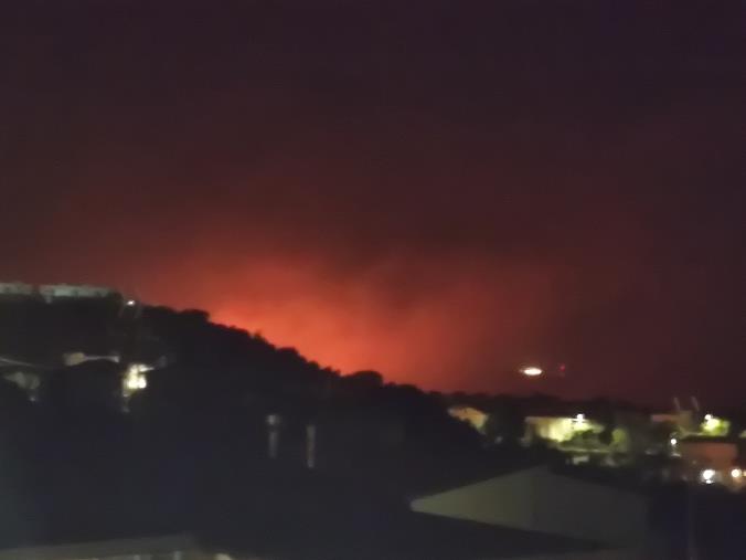 Catanzaro. Non c'è pace per la pineta di Siano: roghi di nuovo attivi. Abramo: "Situazione drammatica" images Catanzaro. Non c'è pace per la pineta di Siano: roghi di nuovo attivi. Abramo: "Situazione drammatica"