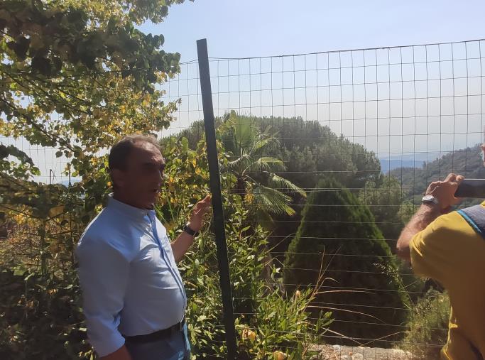 Pineta di Siano. Prima stima dei danni, Abramo: "Colpiti 10 ettari su 280, integro il cuore verde" images Pineta di Siano. Prima stima dei danni, Abramo: "Colpiti 10 ettari su 280, integro il cuore verde"