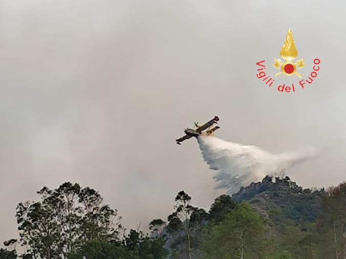 images Ampio incendio fra Altilia e Santa Severina 