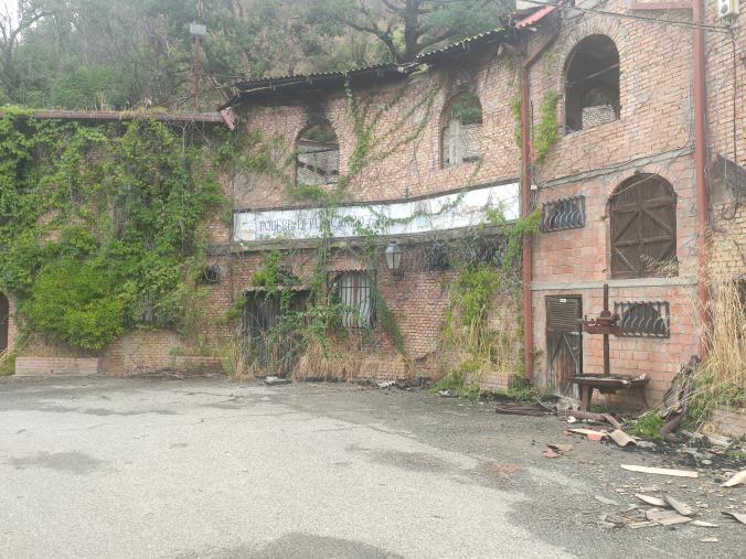 images Incendio Pineta Siano, Pavone: "Solo promesse, dopo un anno resta il degrado e niente museo delle carrozze"