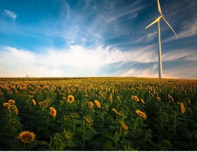 Questione meridionale e produzione d’energia, "Meritocrazia Italia" chiede una seria strategia di sviluppo images Questione meridionale e produzione d’energia, "Meritocrazia Italia" chiede una seria strategia di sviluppo