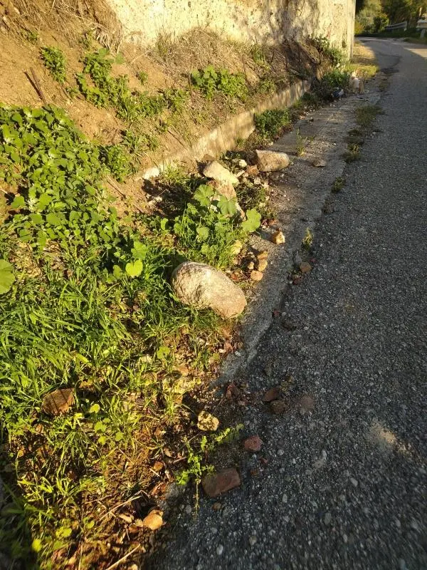 Rischio frana in contrada Cuturelle: i residenti del quartiere Gagliano scrivono al Comune di Catanzaro  images Rischio frana in contrada Cuturelle: i residenti del quartiere Gagliano scrivono al Comune di Catanzaro