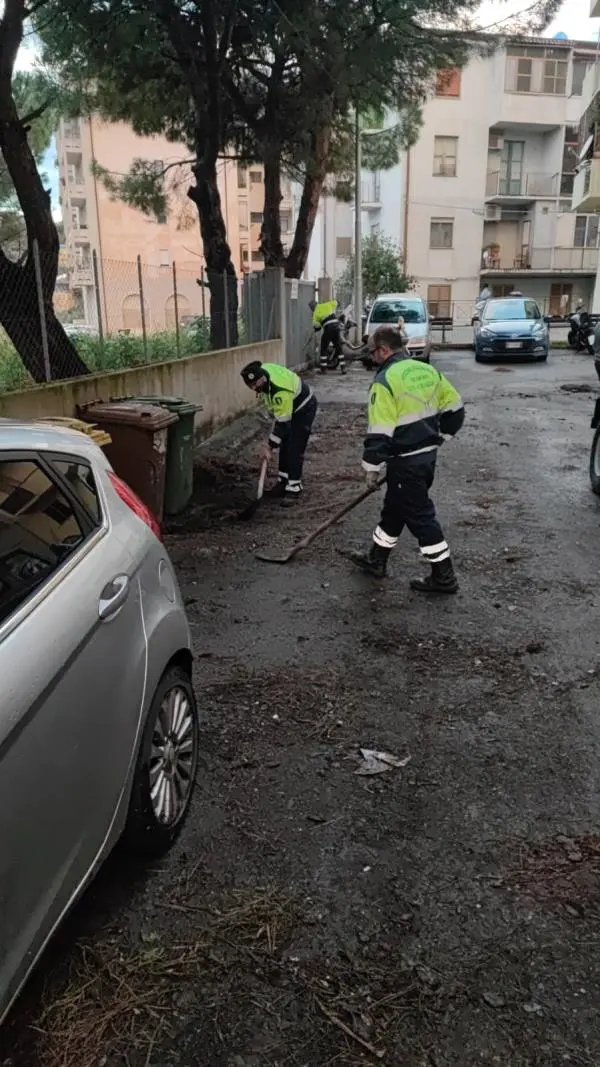 Maltempo a Catanzaro, l'assessore Scalise: "Diversi interventi eseguiti. Situazione sotto controllo" images Maltempo a Catanzaro, l'assessore Scalise: "Diversi interventi eseguiti. Situazione sotto controllo"