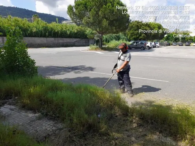 Pulizia e sfalcio di aree private a Vibo, Limardo firma l’ordinanza: “Necessario che anche i cittadini collaborino” images Pulizia e sfalcio di aree private a Vibo, Limardo firma l’ordinanza: “Necessario che anche i cittadini collaborino”