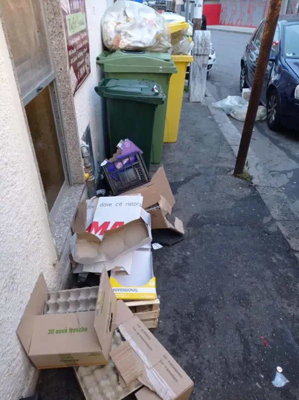 images Luigi Stanizzi: "Inciviltà e incuria, rifiuti ovunque a Catanzaro"