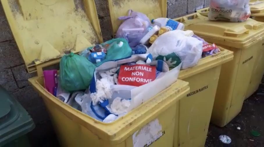 images Catanzaro, la Sieco a Viale Isonzo tra bidoni di nuovo colmi di rifiuti non conformi (VIDEO)
