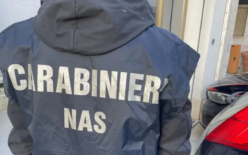 Casa di riposo degli orrori nel Reggino, anziani abbandonati nel degrado: arrestati due coniugi (NOMI) images Casa di riposo degli orrori nel Reggino, anziani abbandonati nel degrado: arrestati due coniugi (NOMI)